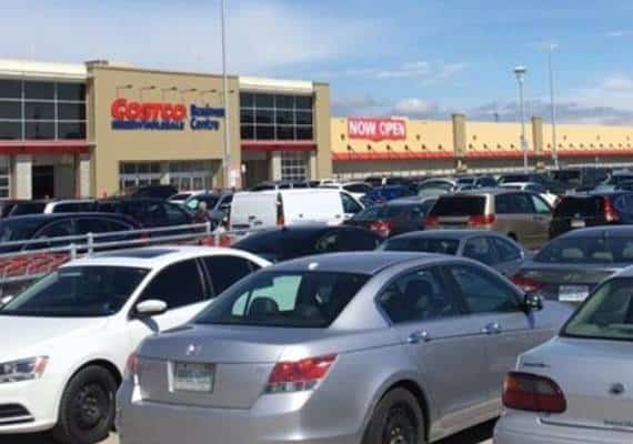 בניגוד לגל הסגירות ברשתות הגדולות: העתיד של COSTCO נראה חיובי מאי פעם