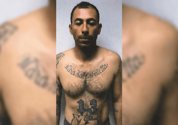 ניו יורק: חבר בכנופיית MS-13 שגורש מהמדינה נעצר שוב לאחר שחזר בניגוד לחוק