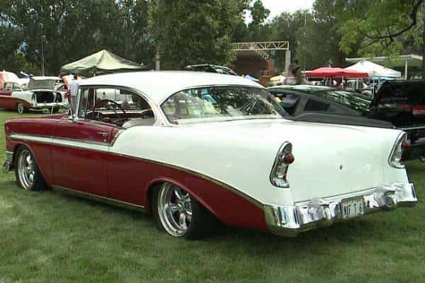 חיות ומכוניות: בוואקו, טקסס, מתכננים יריד בו תמצאו את הקשר בין הגה של מוסטנג לבין זנב של לברדור