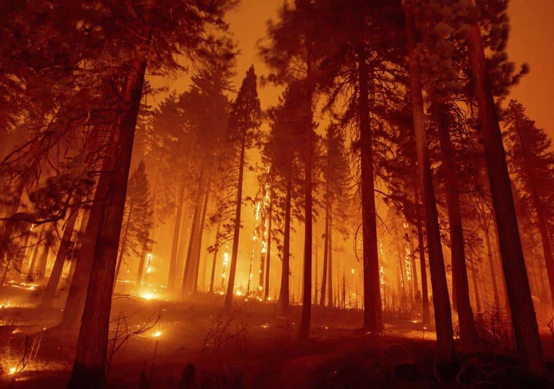 בעקבות גל השריפות: קליפורניה סוגרת את כל היערות הלאומיים במדינה