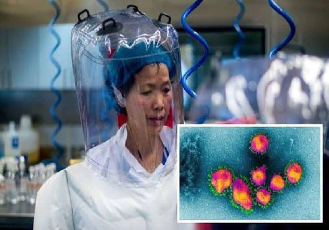 "טראמפ צדק", שינוי של 180 מעלות בממשל ביידן - "תיאוריית המעבדה מובילה בקרב דמוקרטים"