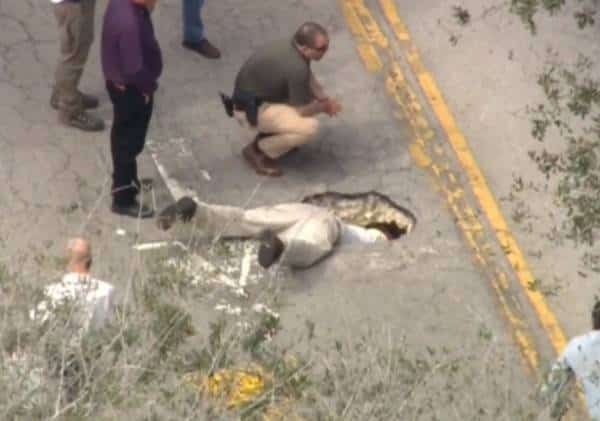 פלורידה: בור בכביש התגלה כמנהרה שמובילה לבנק סמוך
