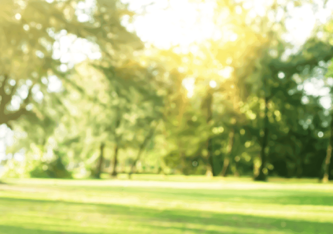 תגלית מזעזעת: עובר עם חבל הטבור אותר מת בפארק בדרום לוס אנג'לס