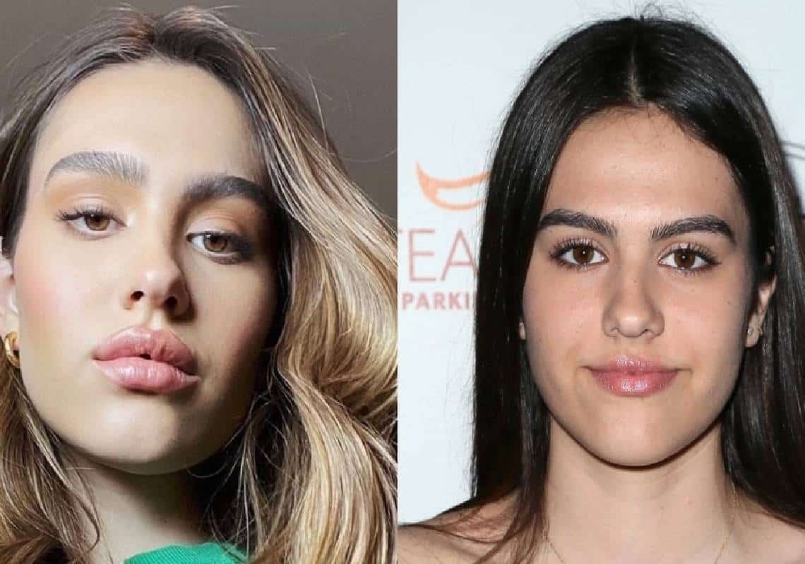 תמונות חדשות של אמיליה המלין הצליחו לעורר את זעם המעריצים 