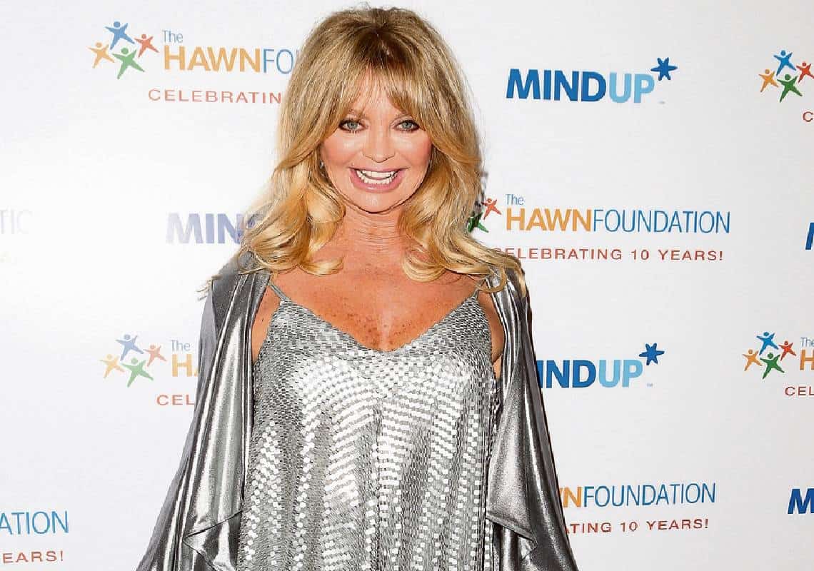 גולדי הון על עצמה וסלבס נוספים: ״אני לא חושבת זה התפקיד שלנו להביע דעה פוליטית״