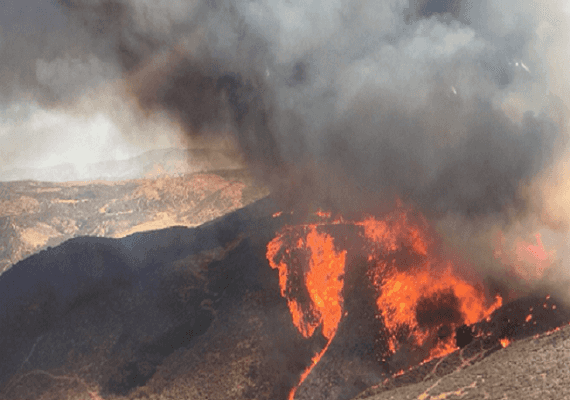 קליפורניה: 3,000 אקר של שיחים כולו בשריפה מצפון ללוס אנג'לס
