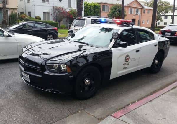 האזינו: המוקדנית ניסתה להשיג את השוטר בזמן שקיים יחסי מין בניידת, הוא רק שכח פרט חשוב - מכשיר הקשר המשיך לפעול