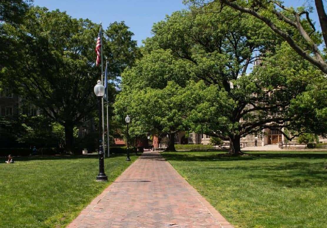 ‏אלה הן 5 המכללות הטובות והגרועות ביותר לחופש הביטוי בארצות הברית