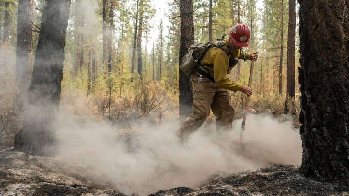 שריפה נוספת בקליפורניה, בזירה שבה אירעה השריפה הקטלנית ביותר בתולדות ארה״ב. מומחים צופים שריפות נוספות