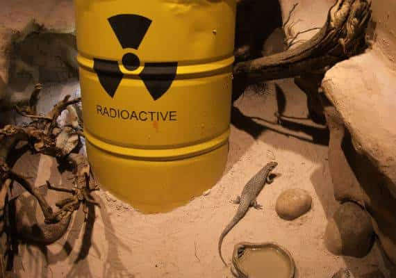 סן פרנסיסקו: תושבים מוחים על "התרמית האקולוגית הגדולה ביותר בהיסטוריה של ארצות הברית"