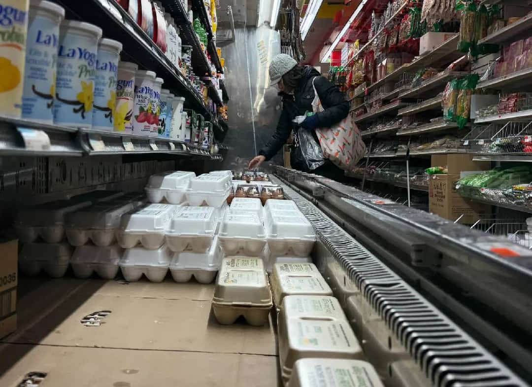 משבר הביצים מחריף: מחירי הביצים בארה"ב מזנקים לשיא חדש