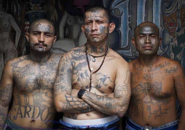 ארה"ב נוקטת ביד קשה כנגד ארגון הפשיעה שהטיל אימה על ניו יורק ולוס אנג'לס: האם אחד ממנהיגיו יוצא להורג?