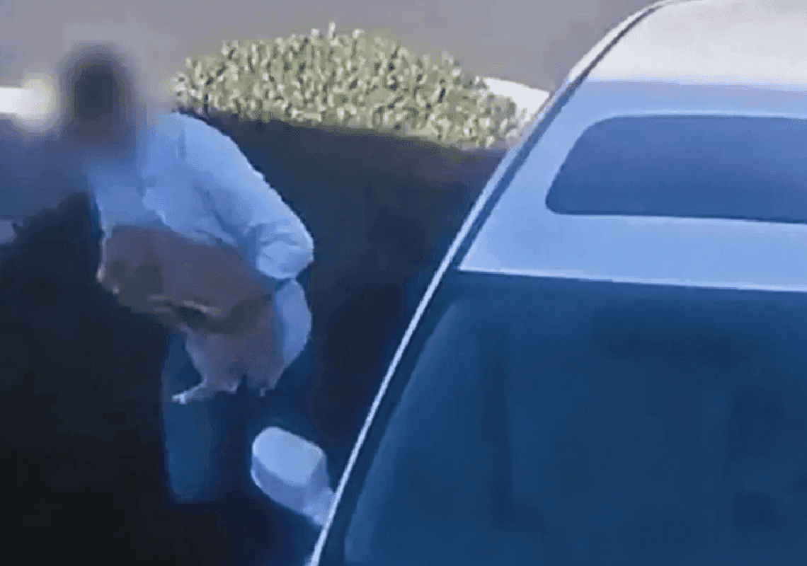 תוך 40 שניות: גבר מקליפורניה תועד גונב כלב ממכונית חונה