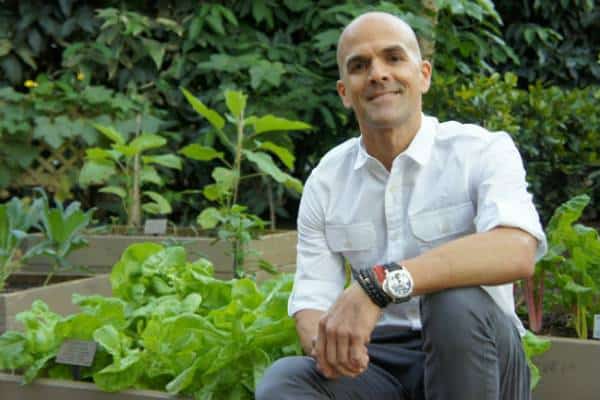 ביונסה וג'ייזי כבר בפנים: הספר החדש של מאמן התזונה שלהם מחכה לסחוף גם אתכם