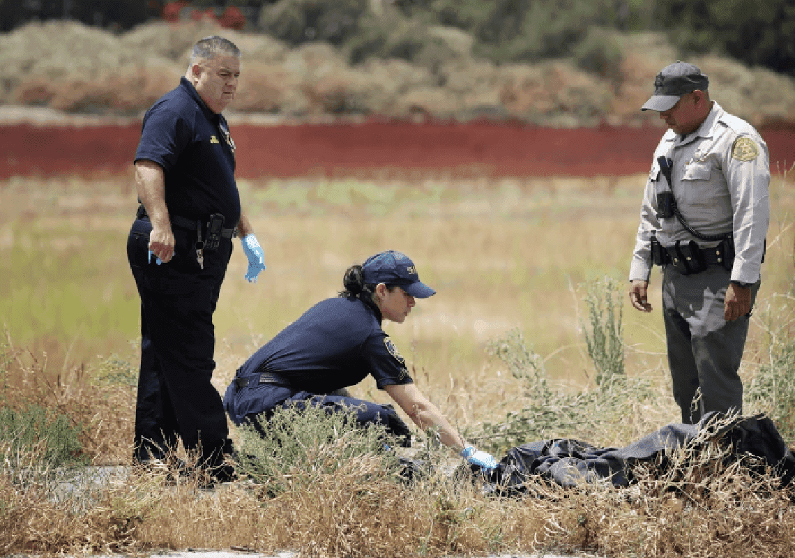 תקרית של אחד למיליון: אישה ושני כלביה נהרגו מפגיעת ברק בלוס אנג'לס