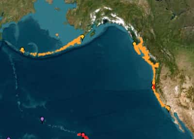 גלי צונאמי הגיעו לחופי קליפורניה: הרשויות קוראות להתרחק מהים - "הסכנה עוד לא חלפה"
