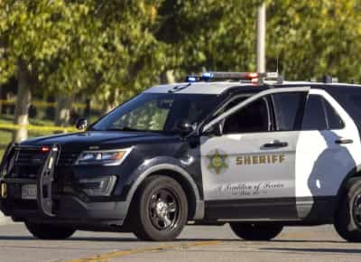 קליפורניה: כלבי פיטבול טרפו גבר ומנעו מכוחות ההצלה להגיע אליו