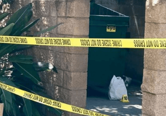 מזעזע: בת 15 ילדה והשאירה את התינוק בפח אשפה בצפון קליפורניה