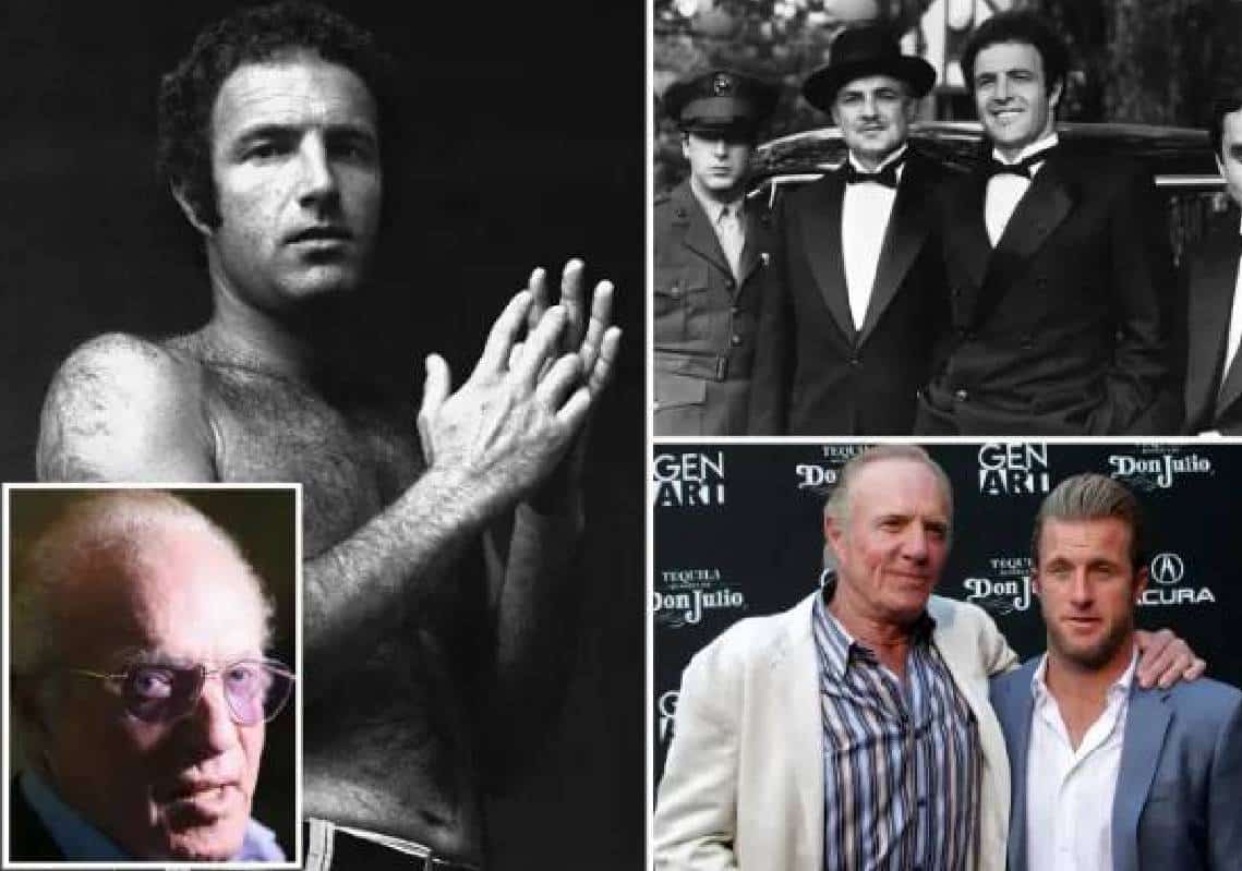 אגדת הקולנוע היהודית וכוכב "הסנדק" ג'יימס קאן הלך לעולמו בגיל 82 