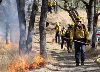 קליפורניה מכינה צבא כיבוי אש: משאבים נוספים נפרסים במחוז לוס אנג'לס לקראת גל החום הקיצוני