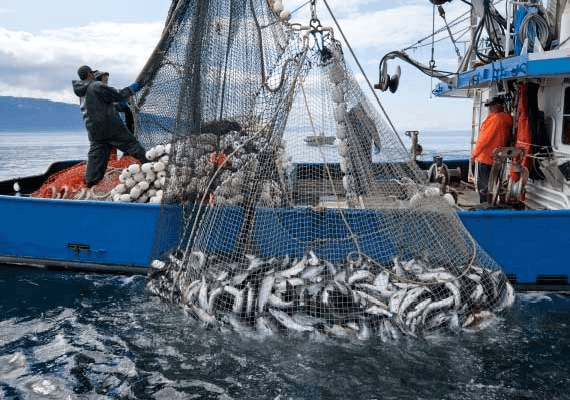 הקורבן הבא של מלחמת הסחר: ענף הדיג באלסקה