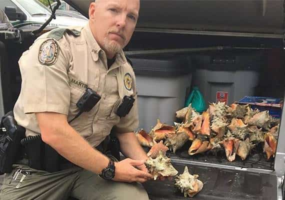 פלורידה: תיירת אספה צדפות ותשלם על כך במאסר