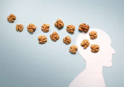 ראש מחלקת נוירולוגיה ממליץ: 8 מזונות שישמרו על תפקוד המוח