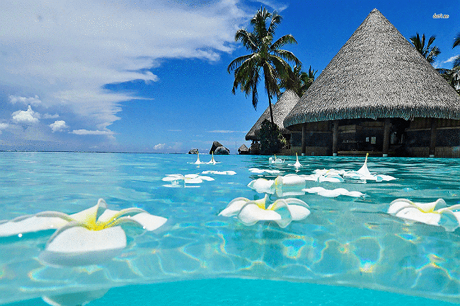 אתם לא חייבים להתחתן: הצעה לחופשה במחיר אטרקטיבי בקנקון  