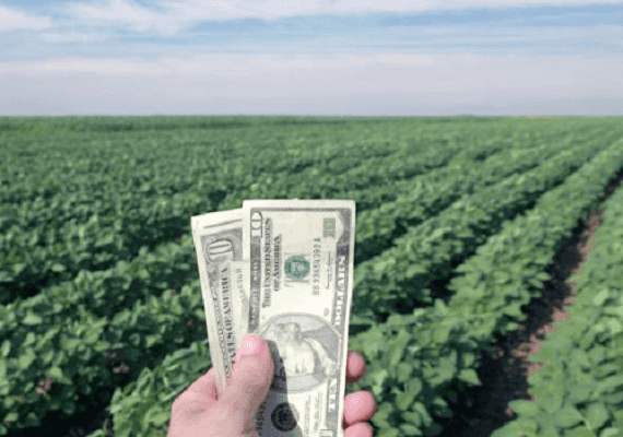 הממשל יפצה את החקלאים ב-12 מיליארד ד' על נזקי מכסי המגן