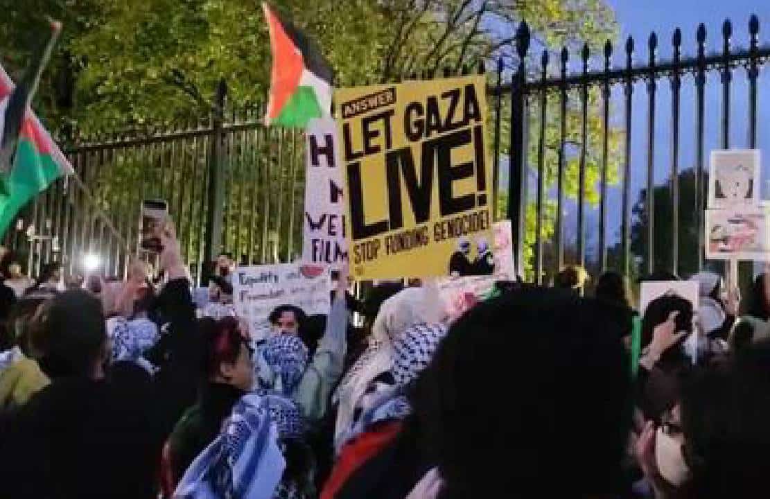 הסרטונים שלא ראיתם - המפגינים שפשטו על שערי הבית הלבן גם השחיתו סמלים לאומיים