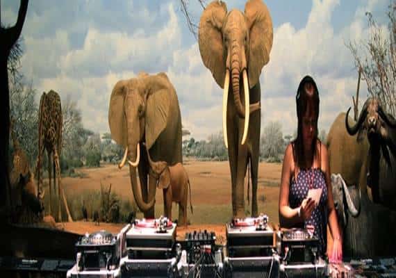 לרקוד עם דינוזאורים