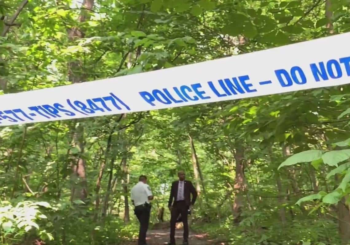 ניו יורק: 3 נשים הותקפו ונשדדו בפארק במנהטן