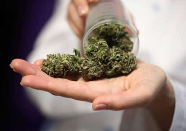 סובלים מבעיות לב? רשויות הבריאות מזהירות מפני שימוש במריחואנה