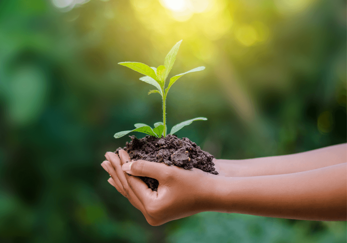 ׳יום איכות הסביבה העולמי׳: 5 דרכים לשמירה על הטבע