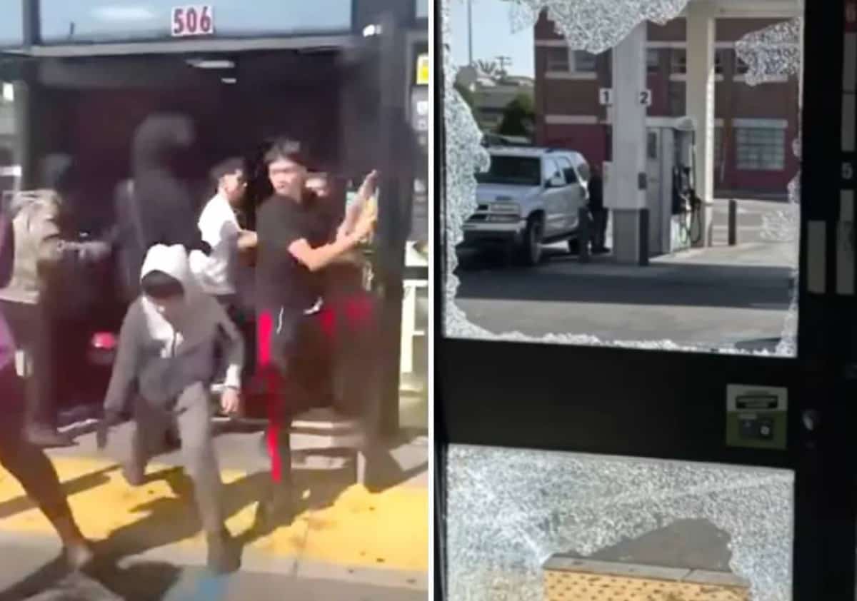 תיעוד מקליפורניה: קבוצת צעירים הסתערה על חנות, בזזה אותה ותקפה את המנהל