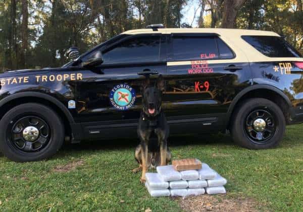 פלורידה: חלונות כהים ברכב הובילו למציאת סמים בשווי 1.2 מיליון דולר