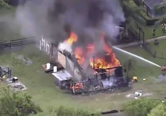 פלורידה: כ-300 חיות אקזוטיות נספו בשריפה בחווה; הסיבה - פגיעת ברק