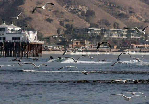 בקרוב: דוכני מזון ומסעדות במאליבו יפסיקו לספק כלי פלסטיק ללקוחות