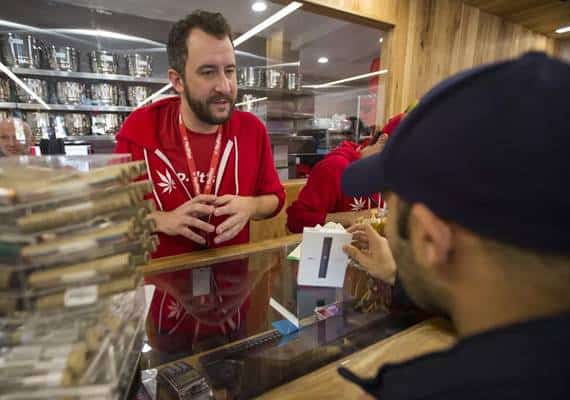 לוס אנג'לס: רווחי העירייה מעמלות היתר מכירת מריחואנה מתחילת השנה- מעל 2 מיליון דולר