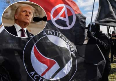 טראמפ בוחן פעולות נגד ארגוני שמאל רדיקלי, ובראשן: הגדרת אנטיפה כארגון טרור מקומי