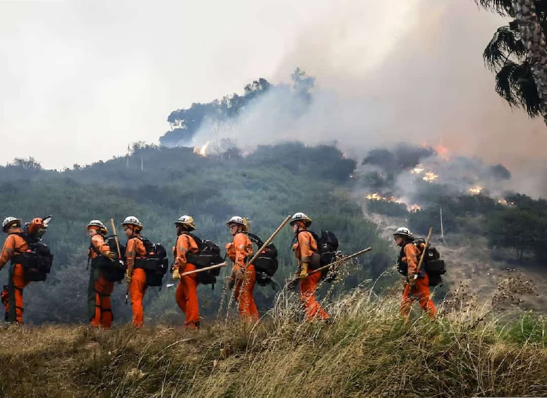 מאחורי הלהבות: מאות אסירים נשלחו להציל את לוס אנג'לס