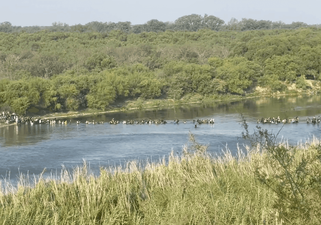 אל הארץ המובטחת: מאות מהגרים חוצים את הנהר ממקסיקו אל טקסס | תיעוד 