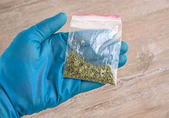 ניו יורק: עשרות אושפזו בשל צריכת מריחואנה שנרכשה אצל אותו הספק