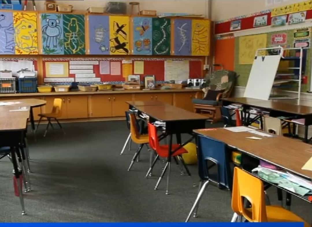 תביעת ענק נגד מערכת החינוך בלוס אנג'לס: "הונאה של 77 מיליון דולר בכספי אמנות"