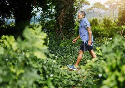 שיטת ההליכה היפנית שהפכה לטרנד הבריאותי החדש