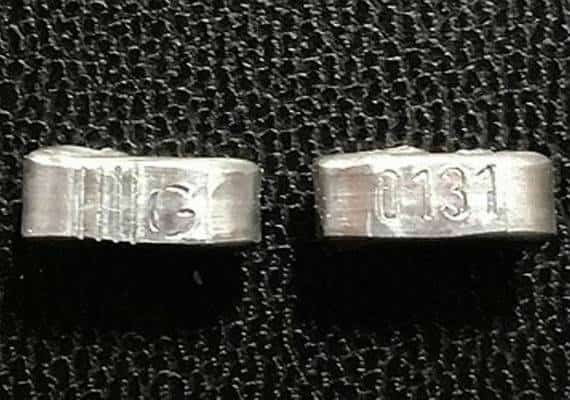 פעם רביעית בתוך שבעה ימים: ריקול עקב חיידקי סלמונלה וליסטריה במזון לחיות מחמד 