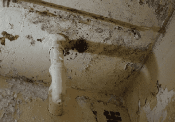 ניו יורק: רשות הדיור שיקרה ורימתה במשך שנים, תשלם 2 מיליארד ותסכים לפיקוח פדרלי