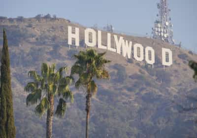 הוליווד נוהרת בחזרה לקליפורניה: ההפקות מציפות את המדינה בבקשות להטבות מס