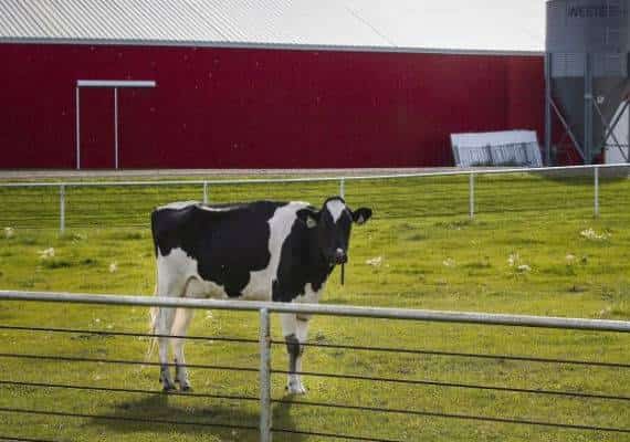 האם החקלאים יכולים להיות מרוצים מהסכם הסחר החדש?