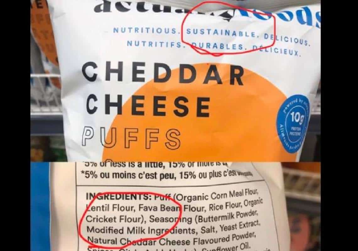 "חרקים בחטיפים" - מותגים גדולים מחדירים בשקט לתוך האוכל שלכם צרצרים, שרצים ורמשים
